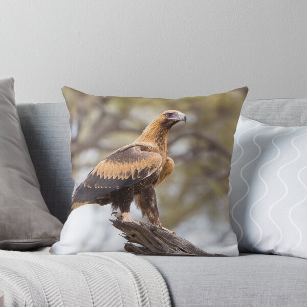 Item preview, Wedge-tailed Eagle, Australia designed and sold by Auswildlife.