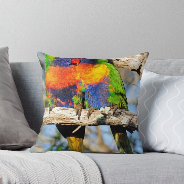 Item preview, Rainbow Lorikeets. Cedar Creek, Queensland, Australia. designed and sold by Ralph de Zilva.