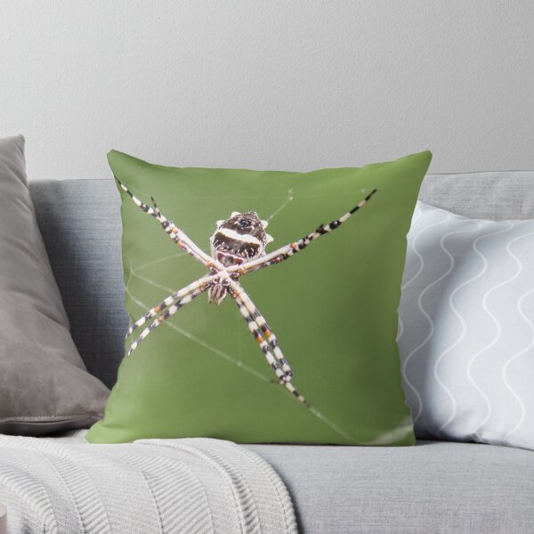 Item preview, Spider designed and sold by Sheryl Hopkins.