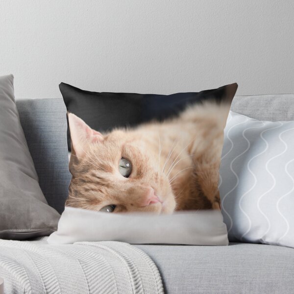 Item preview, Repose designed and sold by petegrev.