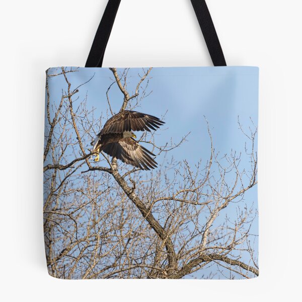 Artikelvorschau, Eagle Launch entworfen und verkauft von Thomasyoung.