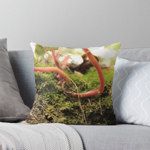 Artikelvorschau, Red Plant in Tree entworfen und verkauft von Jonlynch.