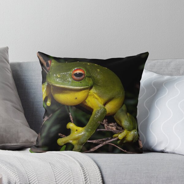 Item preview, Litoria chloris - Red-Eyed Tree Frog designed and sold by Derek Byrne.
