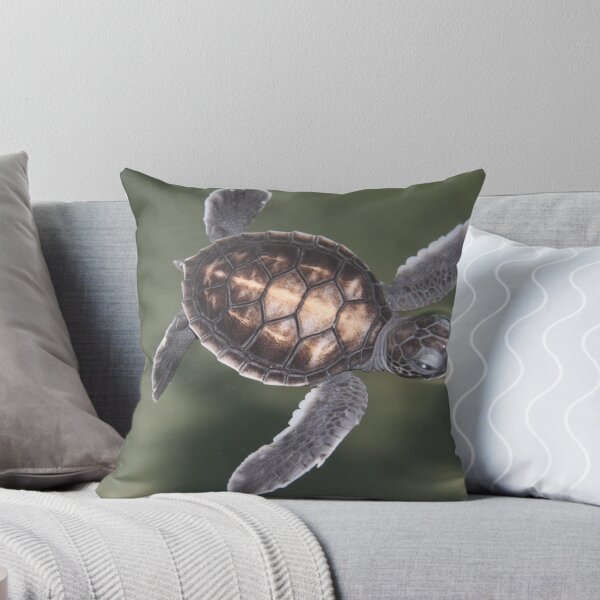 Item preview, Baby Turtle designed and sold by kiddchino.