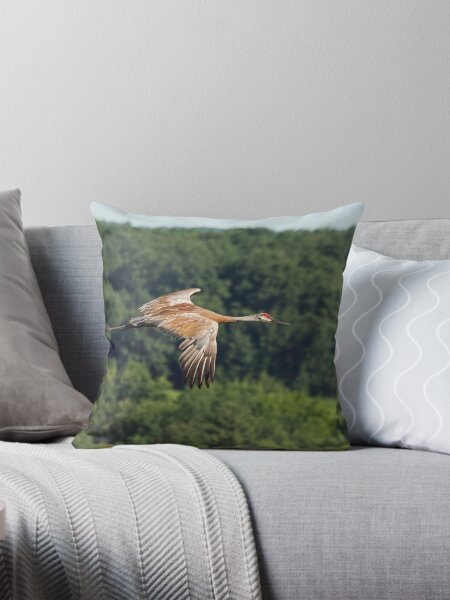 Item preview, Flying Free designed and sold by Thomasyoung.