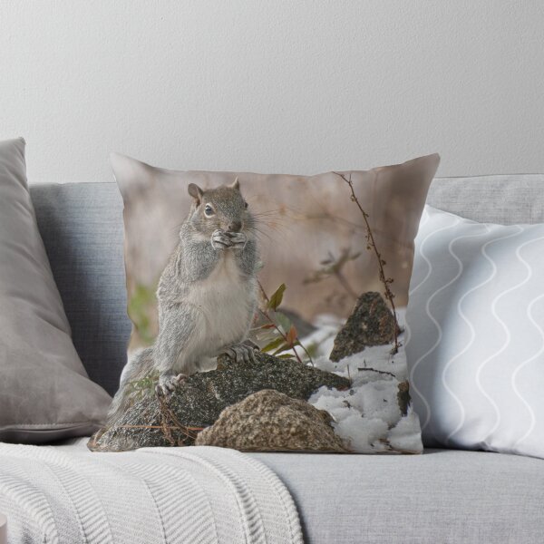 Item preview, Grey Squirrel In The Snow designed and sold by K D Graves Photography.