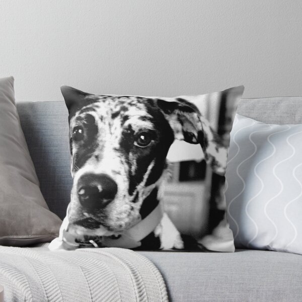 Item preview, Bella designed and sold by Carolyn Ricks.