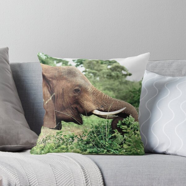 Item preview, Kruger Parc - South Africa designed and sold by Boris TAIEB.