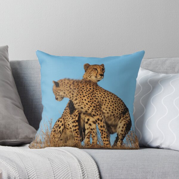 Item preview, Cheetahs searching designed and sold by corrado.