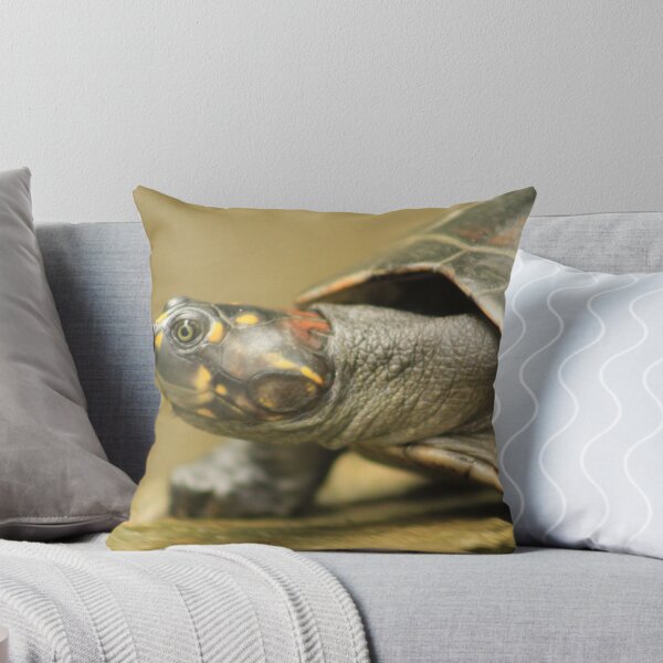 Aperçu de l'œuvre Turtle Head créée et vendue par Jonlynch.
