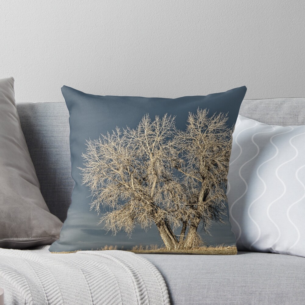 Item preview, Throw Pillow designed and sold by nikongreg.