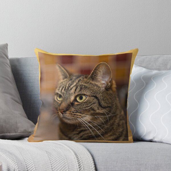 Item preview, Cats mood swing designed and sold by JASPERIMAGE.