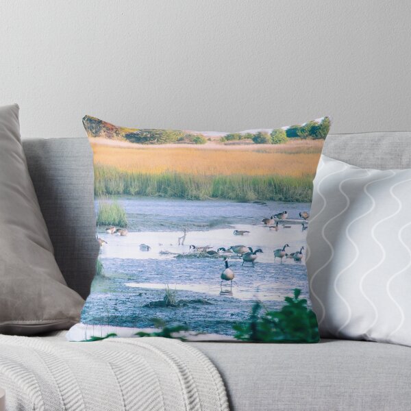 Item preview, Canada Geese at rest designed and sold by Elizabeth Thomas Photography.