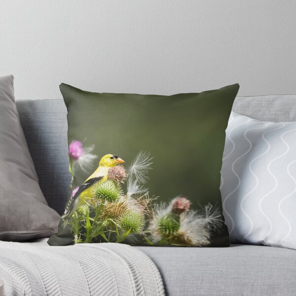 Aperçu de l'œuvre American Goldfinch On Thistle créée et vendue par Thomasyoung.