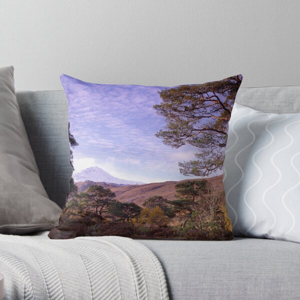 Caledonian Pines in Glen Affric, Scotland (cropped to suit cards) Throw Pillow