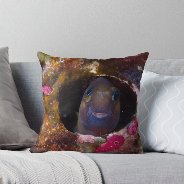 Item preview, Befuddled Blenny designed and sold by Mark Rosenstein.