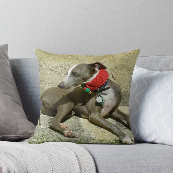 Artikelvorschau, Christmas Collar entworfen und verkauft von Christina Backus.