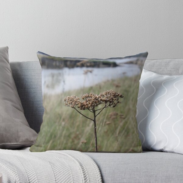 Item preview, Barren beach flower  designed and sold by Rod Raglin.