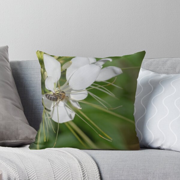 Item preview, Bee Landing On White Flower designed and sold by Sean Paulson.