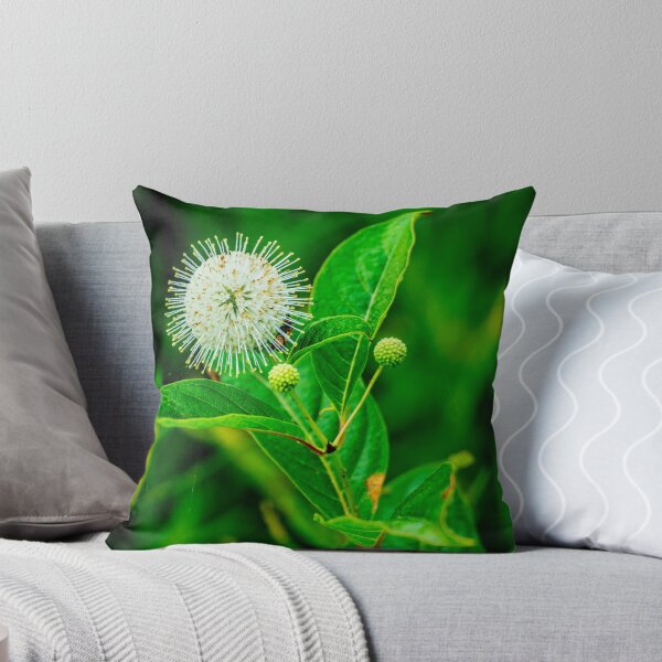 Item preview, Buttonbush flower designed and sold by Jens  Larsen.