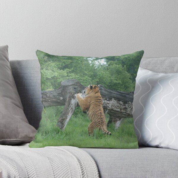 Artikelvorschau, Tiger entworfen und verkauft von DES PALMER.