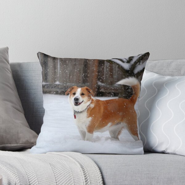 Item preview, Bathed in Snow designed and sold by Brian Gaynor.