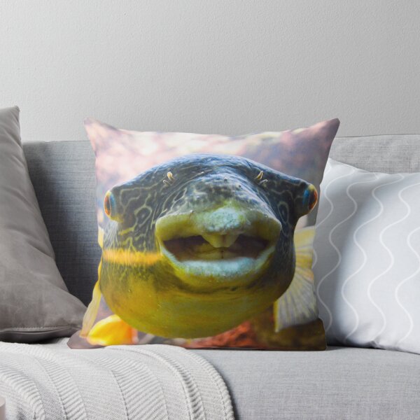 Item preview, Cleatus  designed and sold by Jeanie93.