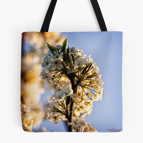 Artikelvorschau, Spring Flower - 1 entworfen und verkauft von Wolf Sverak Photography.