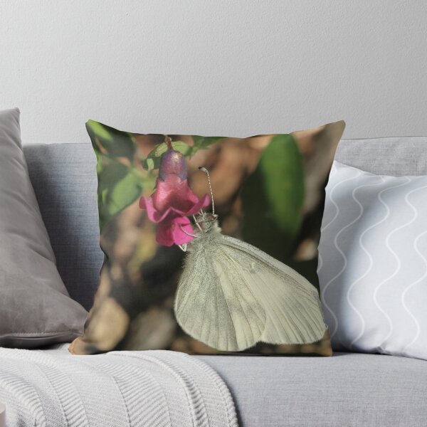 Item preview, Wood White Butterfly on Vetchling flower, Herefordshire designed and sold by Michael Field.