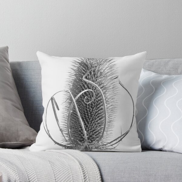 Item preview, Teasel Tracery designed and sold by Nancy Barrett.