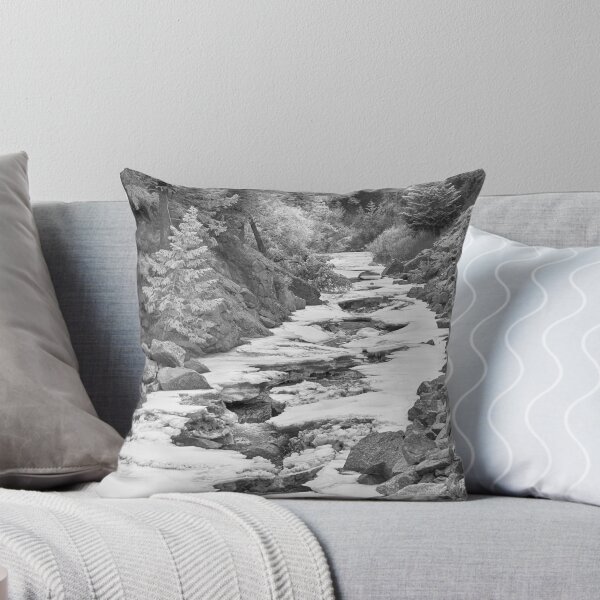Item preview, Frozen Boulder Creek Boulder Canyon Colorado BW designed and sold by Bo Insogna.