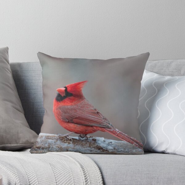 Item preview, Darn, I didn't get all the ice off!! designed and sold by barnsis.