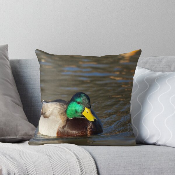 Item preview, Posing For Me, Male Mallard  designed and sold by NatureGreeting Cards ©ccwri.