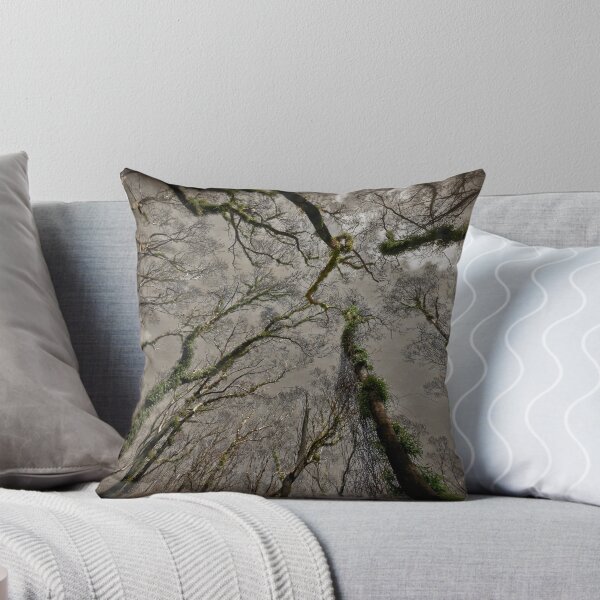 Item preview, Mt Irvine Bushfire Regrowth (Needs to be viewed larger) designed and sold by Ian English Imagery.