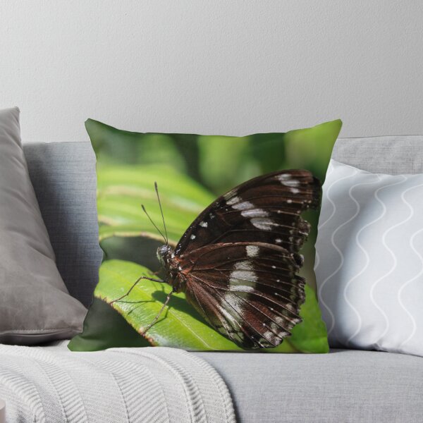 Item preview, Common Eggfly Butterfly designed and sold by margotk.