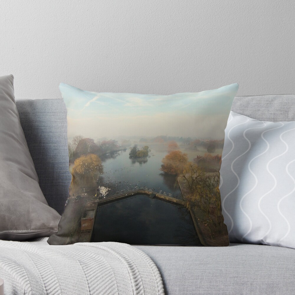 Item preview, Throw Pillow designed and sold by hartrockets.