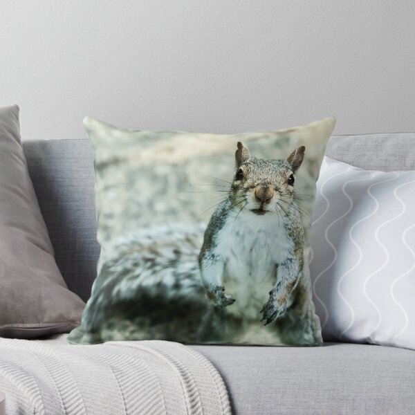 Item preview, Gerald the Begging Squirrel designed and sold by Nenious.
