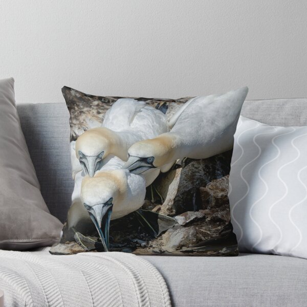 Item preview, Northern Gannets (Morus bassanus) designed and sold by Chris McIlreavy.
