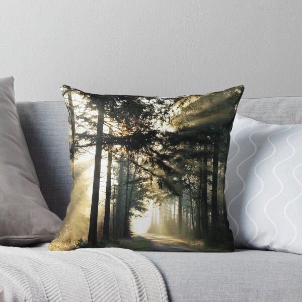 Item preview, And the light shall shine again designed and sold by jchanders.