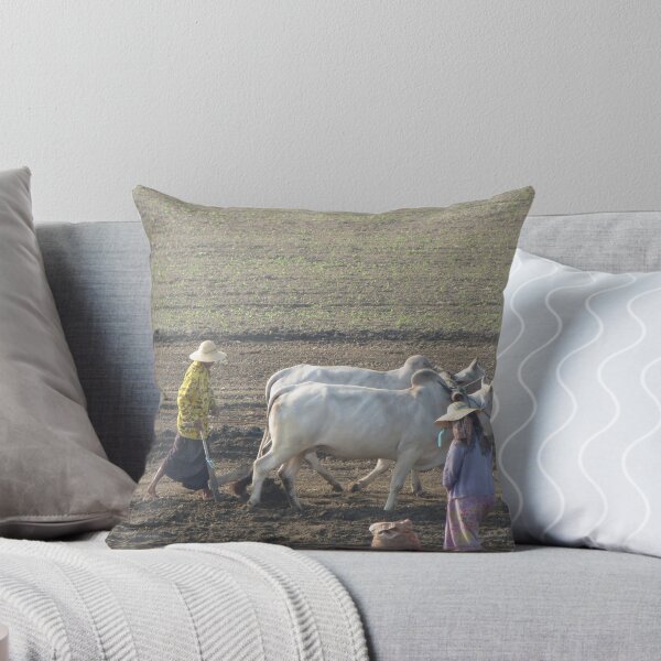 Item preview, Bullock Cart  designed and sold by shicks4.