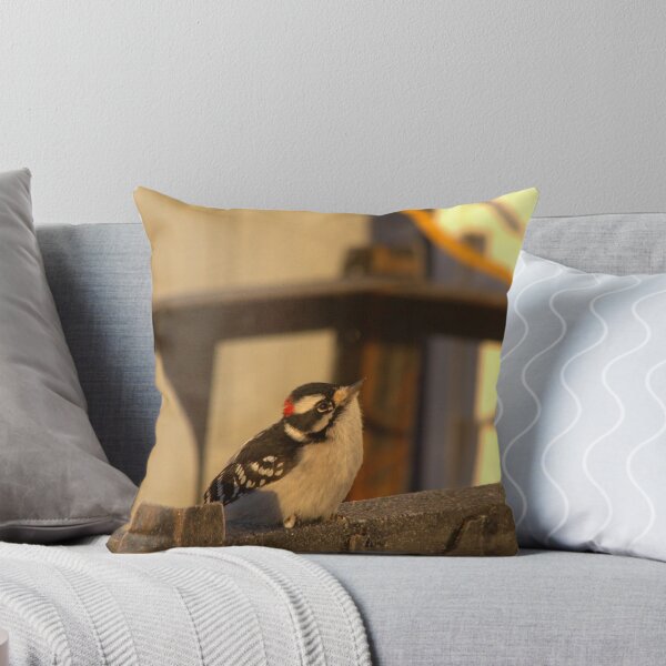 Artikelvorschau, Downy Woodpecker 2 entworfen und verkauft von Kathi Huff.