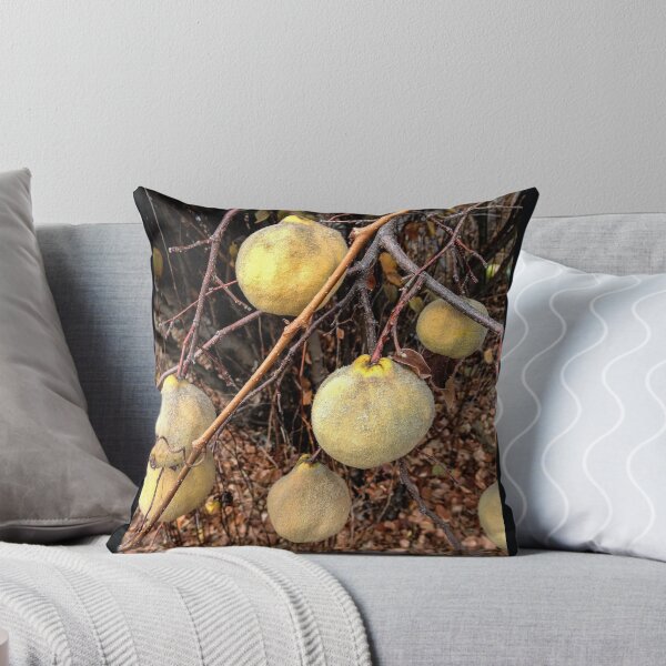 Item preview, Winter Quince designed and sold by Barbara E Wyeth.