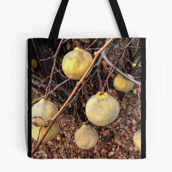 Item preview, Winter Quince designed and sold by Barbara E Wyeth.
