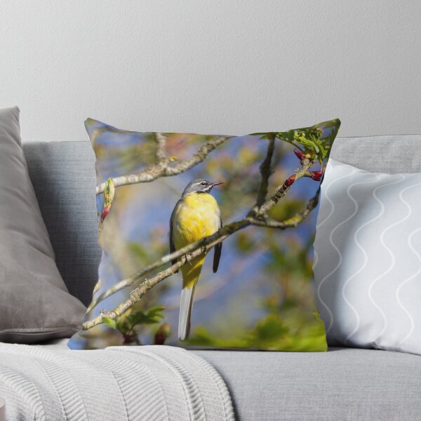 Artikelvorschau, Mr Grey Wagtail! entworfen und verkauft von Michael G Devereux.