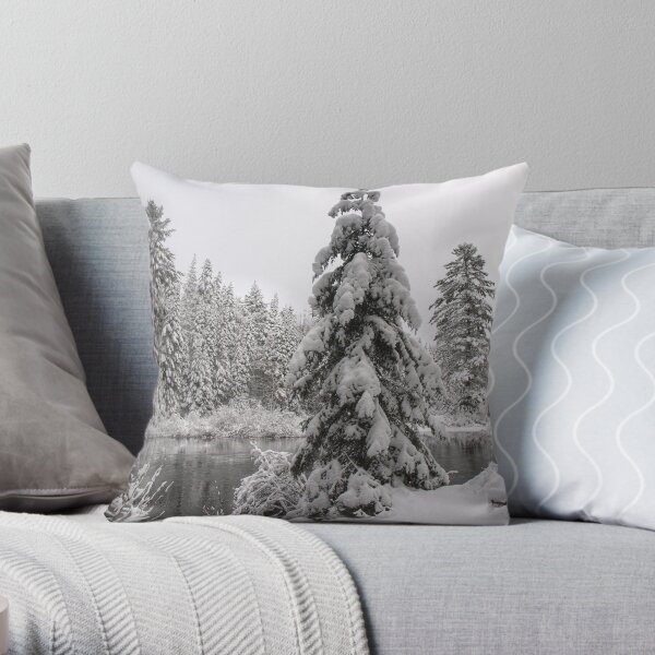 Winter in Algonquin Throw Pillow