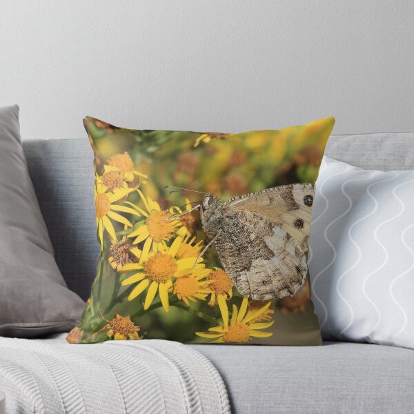 Item preview, Grayling Butterfly nectaring on Ragwort flowers, Cumbria designed and sold by Michael Field.