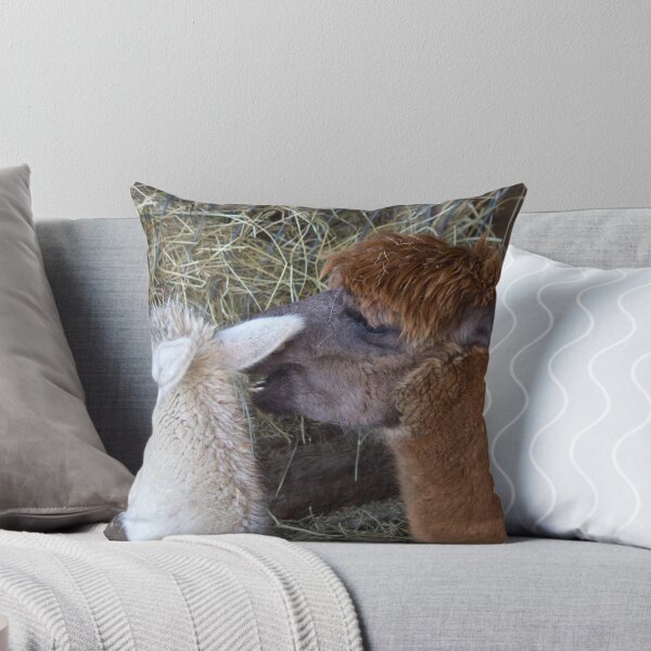Item preview, Psst - can you keep a secret? designed and sold by MisterD.