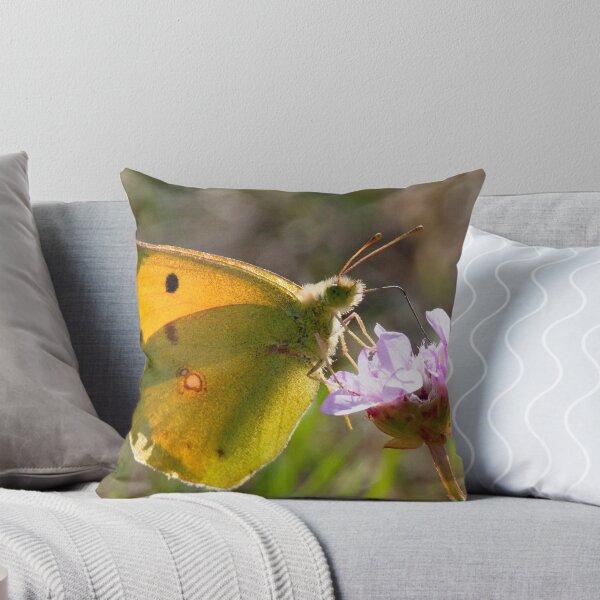 Item preview, Clouded Yellow designed and sold by Neil Bygrave (NATURELENS).