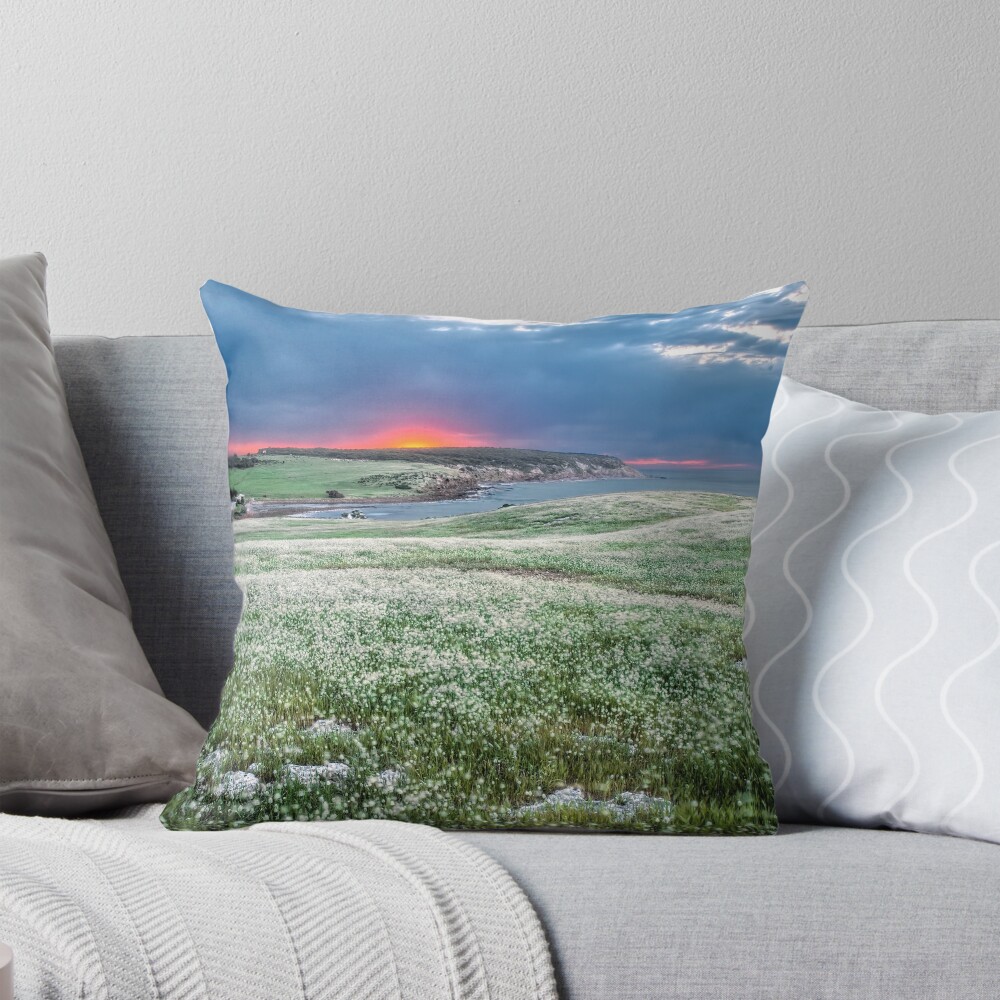 Item preview, Throw Pillow designed and sold by johnsharp.