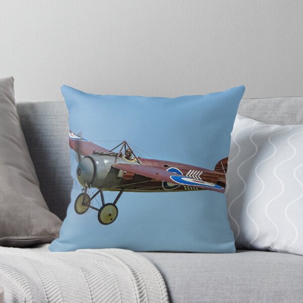 Item preview, Bristol M1C "Bullet" replica C4918 G-BWJM designed and sold by Colin Smedley.